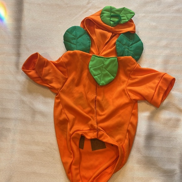 Pumpkin Dog Costume - Picture 3 of 6